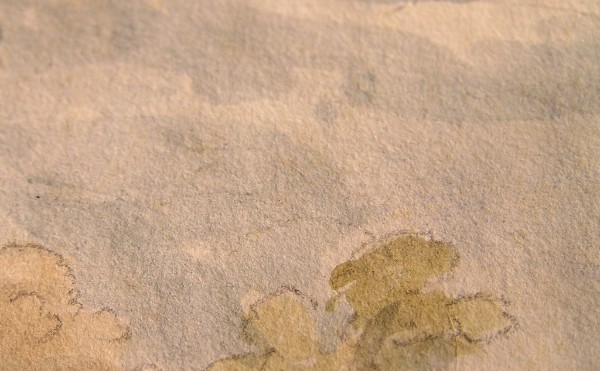 Detailfoto: ...nach Entfernung der Stockflecken Detailfoto: ...nach Entfernung der Stockflecken