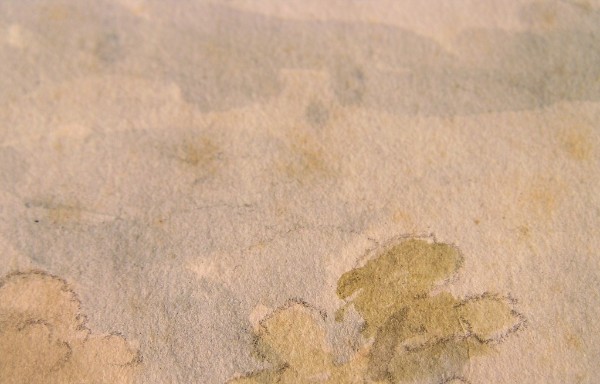 Detailfoto: Aquarell mit mikrobiellem Befall - "Stockflecken"... Detailfoto: Aquarell mit mikrobiellem Befall - "Stockflecken"...