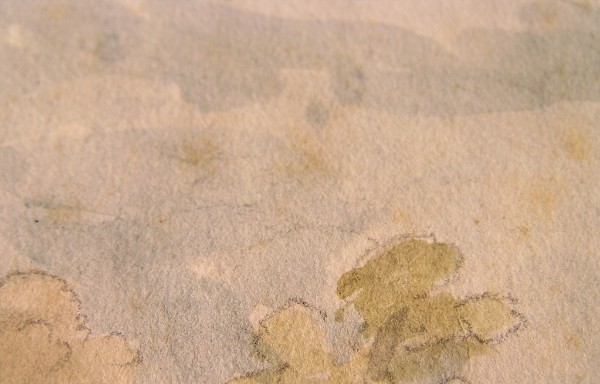 Detailfoto: Aquarell mit mikrobiellem Befall - "Stockflecken"...